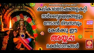 ദുഃഖങ്ങളാൽ നീറുന്ന മനസ്സിന് ആശ്വാസം പകരുന്ന അയ്യപ്പഭക്തിഗാനങ്ങൾ| Ayyappa Devotional Songs Malayalam|