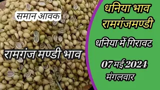 07 मई 2024 धनिया का भाव । coriander Market price today। today ramganj mandi bhav