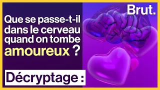 Que se passe-t-il dans le cerveau quand on tombe amoureux ?