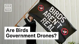 Birds Aren't Real Movement Says Birds Are Government Drones