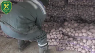Таможенниками на границе с Украиной выявлена крупная партия сигарет, скрытых под картофелем
