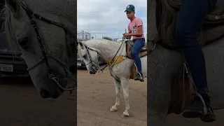 Feira de cavalo 🐎 em Caruaru-PE animal a venda dia 14/05/2024