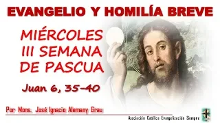 MIÉRCOLES 29 DE ABRIL - MIÉRCOLES DE LA TERCERA SEMANA DE PASCUA.