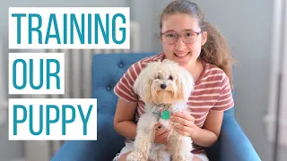 WHAT COMMANDS ARE WE TEACHING OUR MALTIPOO PUPPY? | An Inside Look at Our Training this Month