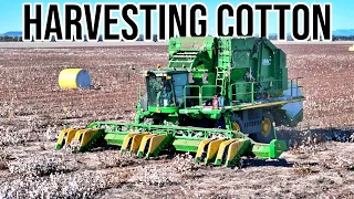 Cotton Harvest BEGINS! | Australian Cotton | Vlog 284