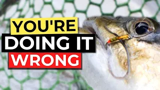 Buzzer Fishing - 5 Top Tips You Should Be Using NOW!