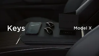 Keys | Model X