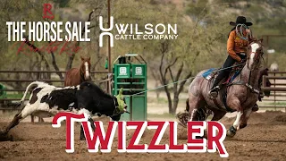 #8 TWIZZLER - Wilson Cattle Co x Rancho Rio Horse Sale