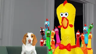 Puppy vs Rubber Chicken Invasion: Cute Puppy Dog Indie Battles Giant Rubber Chickens Prank