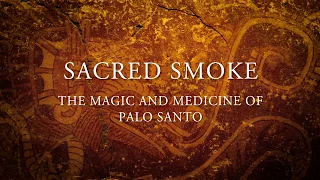 Sacred Smoke: The Magic Medicine of Palo Santo