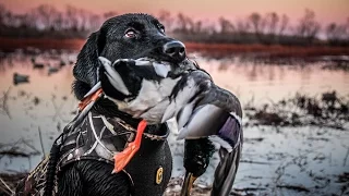 The X: Public Land Duck Hunting in Kansas