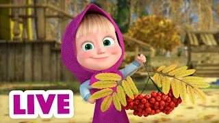 🔴 LIVE STREAM 👱♀️🐻 마샤와 곰 🍂 바삭한 잎사귀 🍁 Masha and the Bear