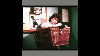 1982 Cult Classic “Basket Case”