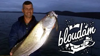 LIVE BAIT FISHING FOR KOB - KNYSNA WHAT A NIGHT