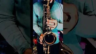 REFLEX — Первый раз (SAX cover by OMSAX)