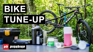 8 Easy Ways To Tune Up Your Mountain Bike