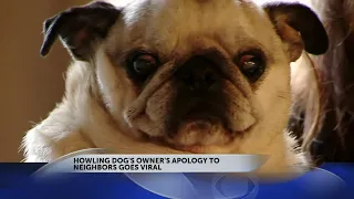 Howling, blind pug's apology to neighbor makes noise online