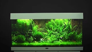 Aquarium einrichten JUWEL Rio 180  / Tutorial