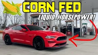 INSANE | 2018-2019 Mustang GT on E85 | YOU WONT BELIEVE THE POWER!