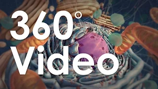 360° Guided Tour of the Cell (demo)