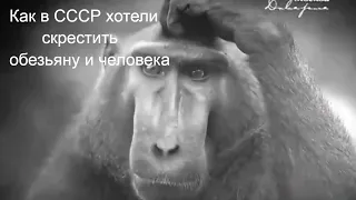 Нераскрытые тайны. Советский Франкенштейн. ШОК! #скрещивание человека и обезьяны