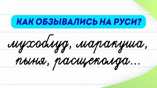 Как обзывались на Руси? 12 старинных русских слов, о которых вы не знаете! | Словарный запас