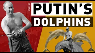 Putin's Military Dolphins | Russia Deploys Trained Dolphins To Avert Underwater Attack | Ukraine War