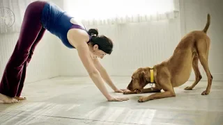 ОДНА МИНУТА в ДЕНЬ - упражнение "Собака мордой вниз" для чудесного изменения вашего тела!