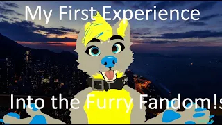 My First Experience Into The Furry Fandom!