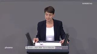 Frauke Petry (fraktionslos) in der Generaldebatte am 27.11.19