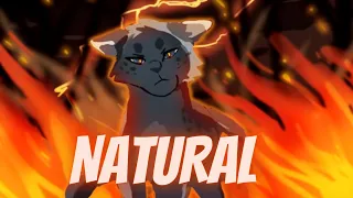 [WARRIORS CATS] AshFur PMV - Natural