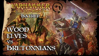 Bretonnians Vs Wood Elves - The Old World Battle Report - Warhammer Fantasy