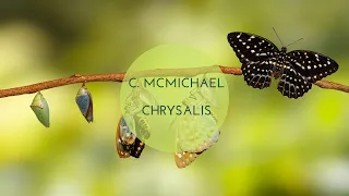 【Viva Flauti! 韋瓦笛室內樂團】Catherine McMichael: Chrysalis