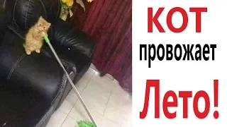 Лютые приколы. КОТ ПРОВОЖАЕТ ЛЕТО!!! Ржака до слёз! ТЕСТ НА ПСИХИКУ - Domi Show