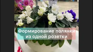 Формирование трейлера ЛЕ-Жемчужинка. Магазин Фиалки в Одессе.