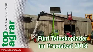 Fünf Teleskoplader im top agrar-Praxistest: Dieci, Merlo, Manitou, JCB, Bobcat