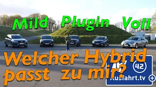 Welcher Hybrid passt zu mir? Wie unterscheiden sich Mildhybrid, Plugin-Hybrid und Vollhybrid?