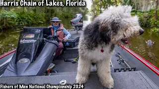 GIANT DOG GOES BASS FISHING (Full Tournament Vlog)