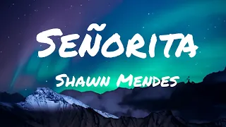 Shawn Mendes & Camilla Cabello - Senorita (lyrics)