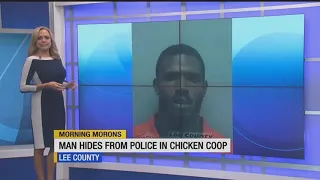Morning Morons: Florida man hides from police in chicken coop