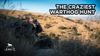 The Craziest Warthog Hunt | John X Safaris