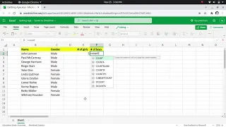 Counting How many Girls and Boys in Excel