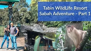 Adventure in Sabah, Malaysia  - Tabin Wildlife Resort