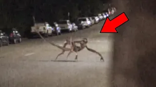 Mythical Creatures Caught On Camera & Spotted In Real Life!
