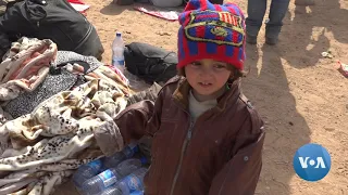 Syria Camp in Crisis as IS Families Flood In