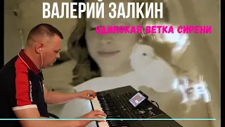 Валерий Залкин" Одинокая ветка сирени" кавер KORG pa 1000