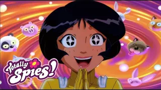 Totally Spies! 🌸 Season 6 - FULL EPISODES (1+ Hour Collection)