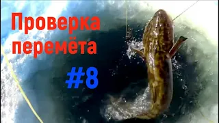 Проверка перемёта. #8.