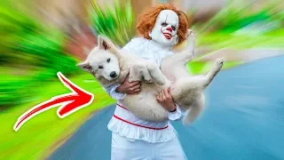 EL PAYASO SE LLEVA A NUESTRO PERRO THOR / EP. 5