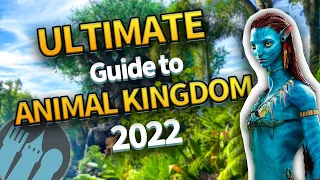 The 2022 Ultimate Guide to Animal Kingdom